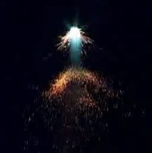 (Р3110) Лунный цветок 1/120/6, купить в Оренбурге — 123Пли