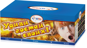 (ОВ1094) Удиви гостей своих (1"х145) 1/1, купить в Оренбурге — 123Пли