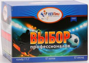 (СВ102) Выбор профессионалов