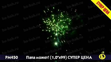 (Р8460) Папа может