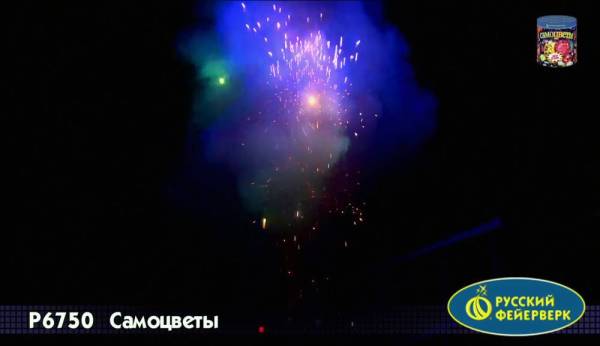 Р6750-2