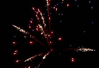 (РС532) Золотая рыбка