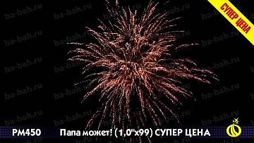 (Р8460) Папа может