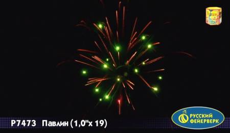 Р7473-10