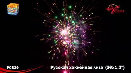 РС8290-8 РС8290-8