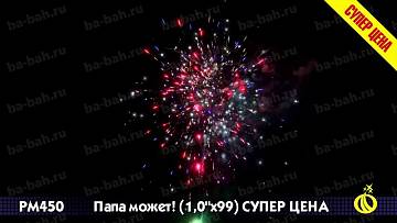 (Р8460) Папа может