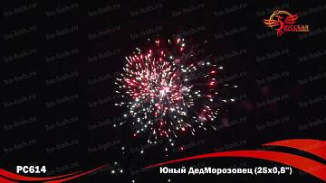 (РС6420) Юный ДедМорозовец