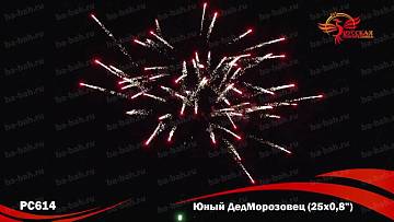 (РС6420) Юный ДедМорозовец
