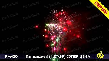(Р8460) Папа может