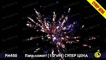 (Р8460) Папа может