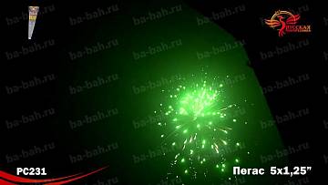 (РС2231) Пегас