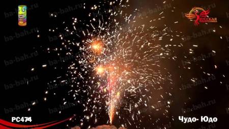 РС4310-7 РС4310-7