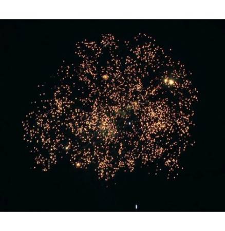 SB-49-02-4 SB-49-02-4