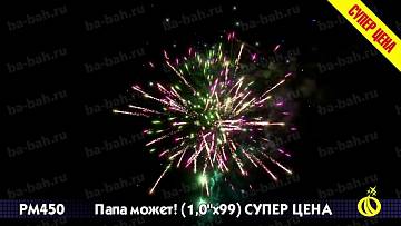 (Р8460) Папа может