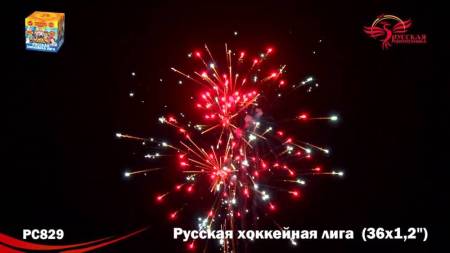 РС8290-9 РС8290-9