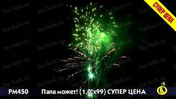 (Р8460) Папа может