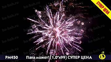 (Р8460) Папа может