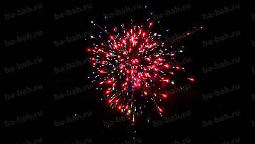 (FT5046) Брызги шампанского