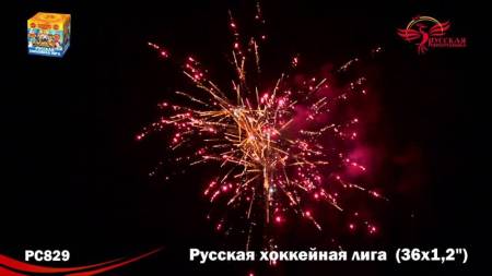 РС8290-6 РС8290-6